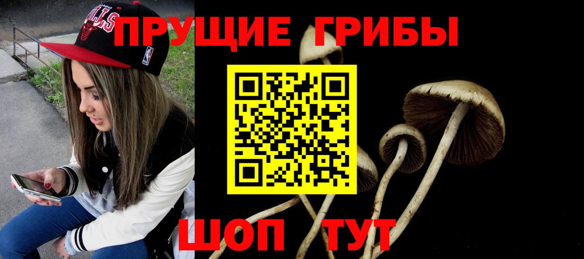 Балашиха  Псилоцибиновые грибы прущие грибы  Вход с VPN  Псилоцибиновые грибы прущие грибы 