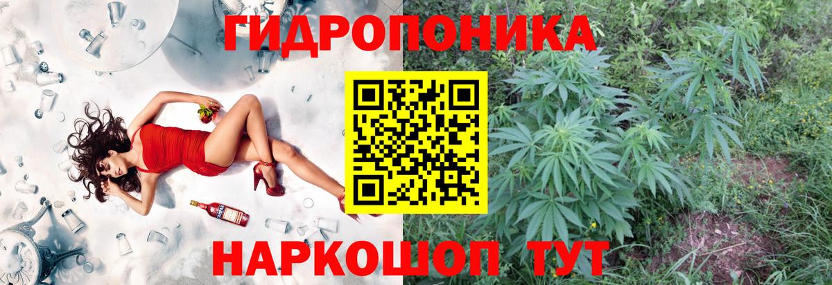 Шишки марихуана семена  Канабис SATIVA & INDICA  Вход с VPN  Марихуана White Widow  Балашиха  Каннабис White Widow 